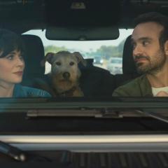 爱犬莫福 - rkXC3UCbdCtC1h8aUXBvNTgZT6W.jpg
