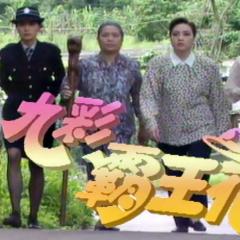 九彩霸王花 - 52xTwpBe5XYWxO1j4N5ht2z37x1.jpg