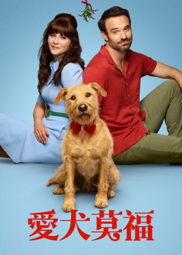 爱犬莫福
