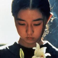 燕尾蝶 - hLdRkK7gz9IGft2dTivEeFeQeQz.jpg