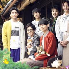 猫物件 电影版 - bpZUjAznybq2lFY1Zz6qd59s1JU.jpg