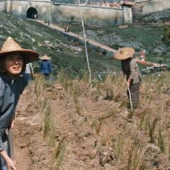 六福客栈 - kx6Jruv5b6estzpJYGcuxg1n4Re.jpg